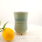 Catchall Cup - Vashon Green