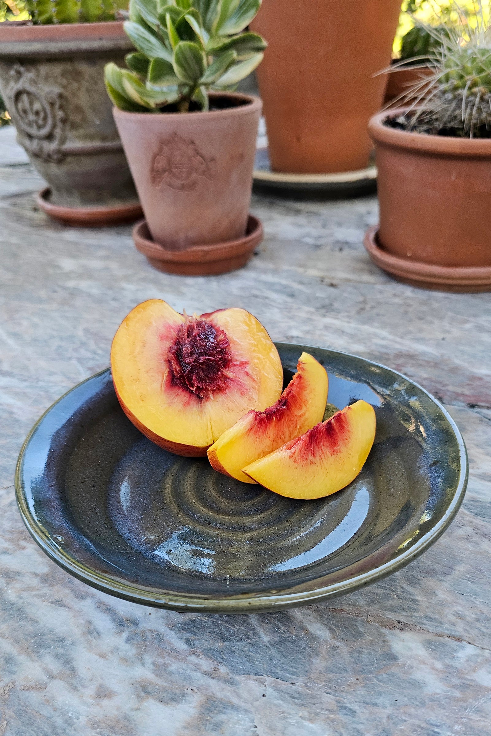 files/Vashon_FavoritePlate_nectarine_2.jpg